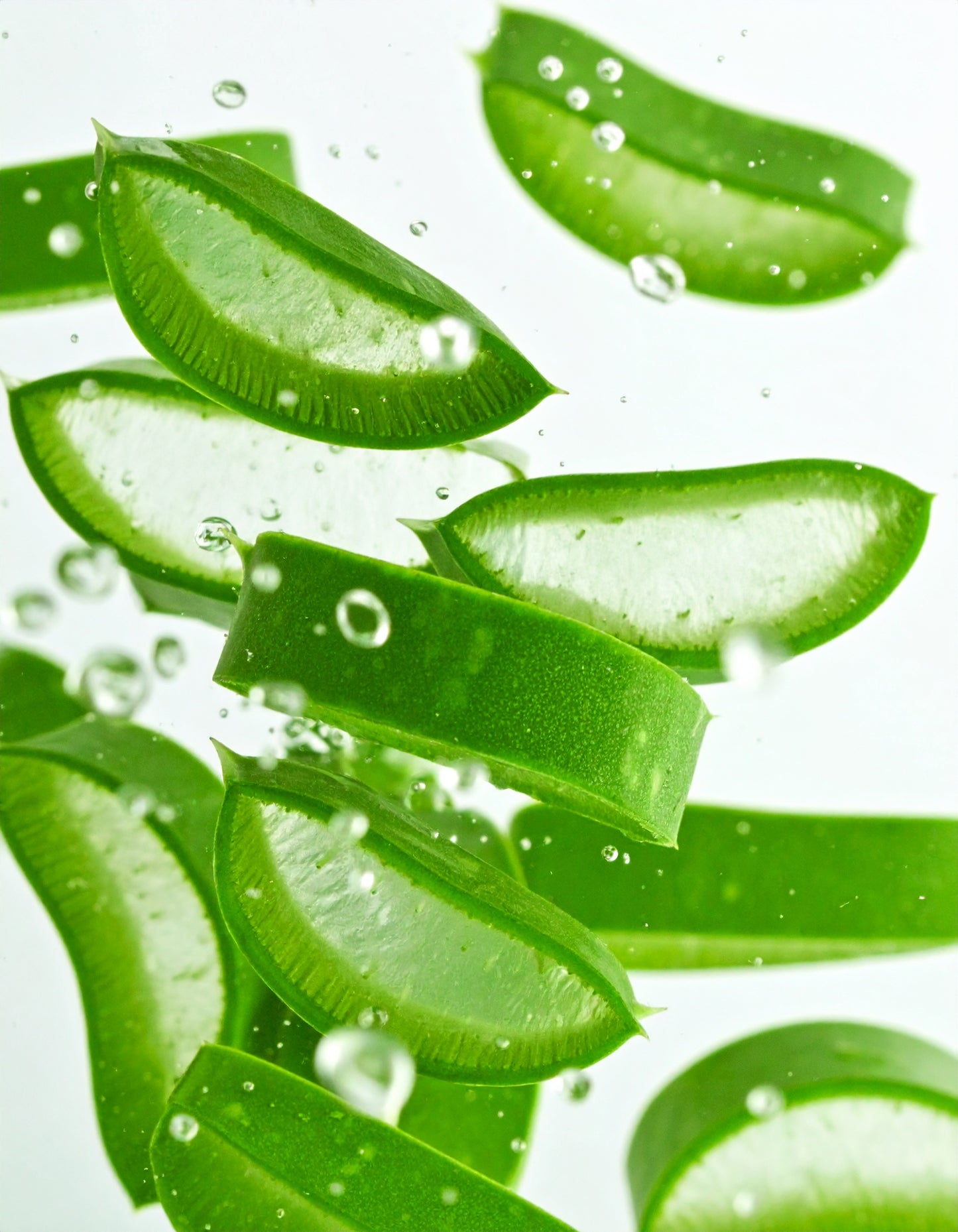 Moisturising Day Cream